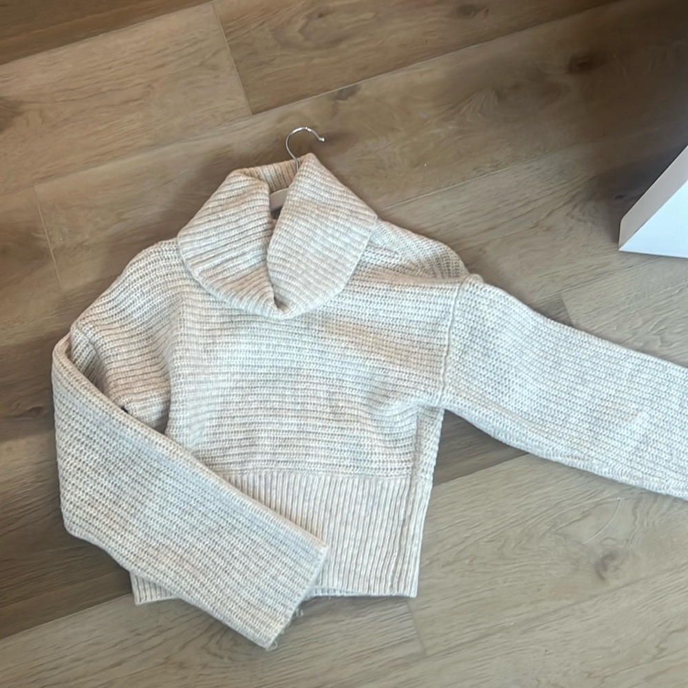 Express turtleneck sweater.